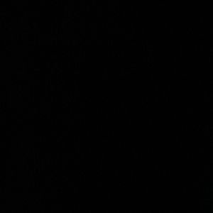 Meet your Posher, Annabelle